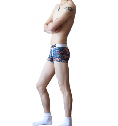 Cotton Boxer Shorts by WangJiang