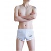 WangJiang Sexy Mesh Nylon Shorts 4034-DK