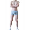 WangJiang Transparent Polyester Fabric Boxer Shorts 3066-PJ