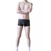 WangJiang Transparent Polyester Fabric Boxer Shorts 3067-PJ