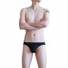 WangJiang Nylon Low Rise Sexy Brief G6002-SJ