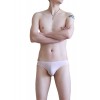 WangJiang Nylon Low Rise Sexy Brief G6002-SJ