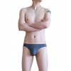 WangJiang Nylon Low Rise Sexy Brief G6002-SJ