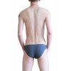 WangJiang Nylon Low Rise Sexy Brief G6002-SJ