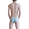 WangJiang Nylon Low Rise Sexy Brief G6002-SJ