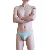 WangJiang Nylon Low Rise Sexy Brief G6002-SJ