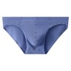 WangJiang Nylon Low Rise Sexy Brief G6002-SJ