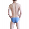 WangJiang Nylon Low Rise Sexy Brief G6002-SJ