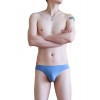 WangJiang Nylon Low Rise Sexy Brief G6002-SJ