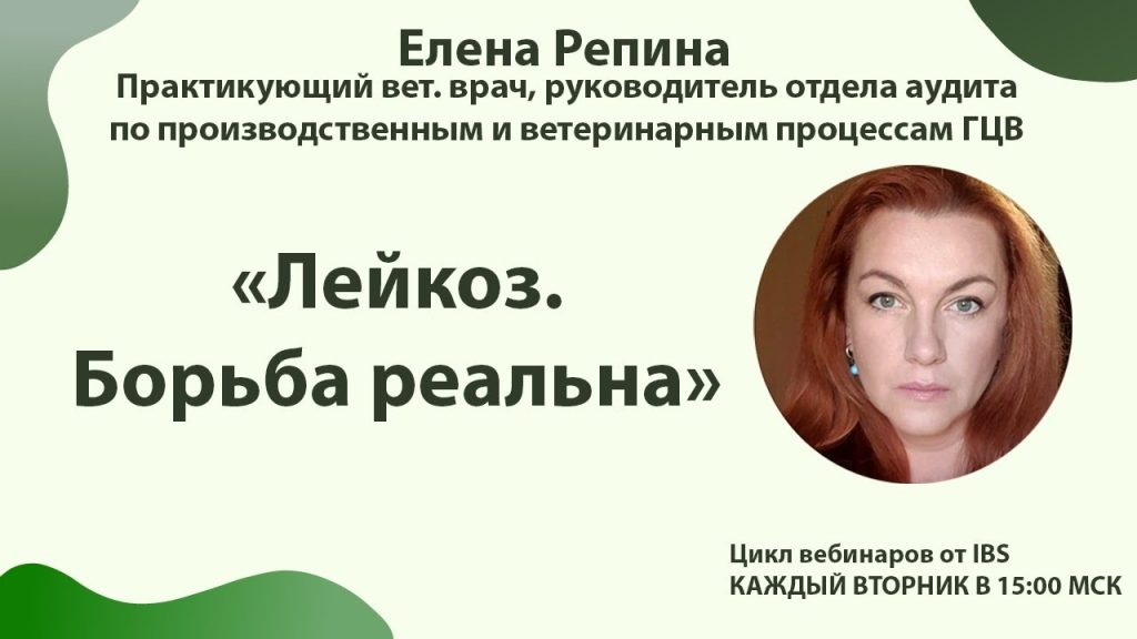 Елена Репина Личная Жизнь: Биография, Карьера и Личные Отношения