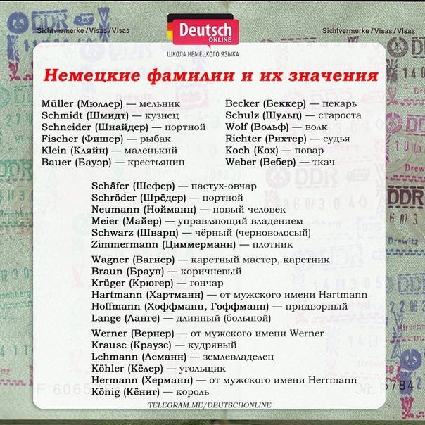 Ли Берлинская Национальность Родители: подробности биографии и карьеры