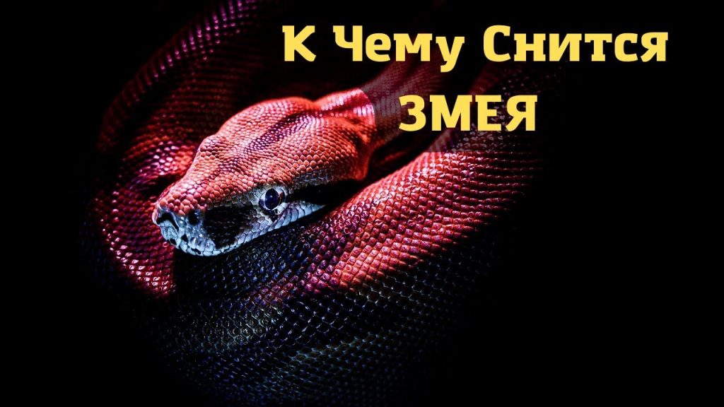 К Чему Снится Змея: Толкование и Символика в Сонниках