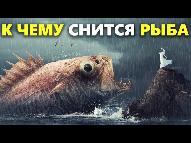 К Чему Снится Рыба: значение сна в разных культурах и психологический анализ