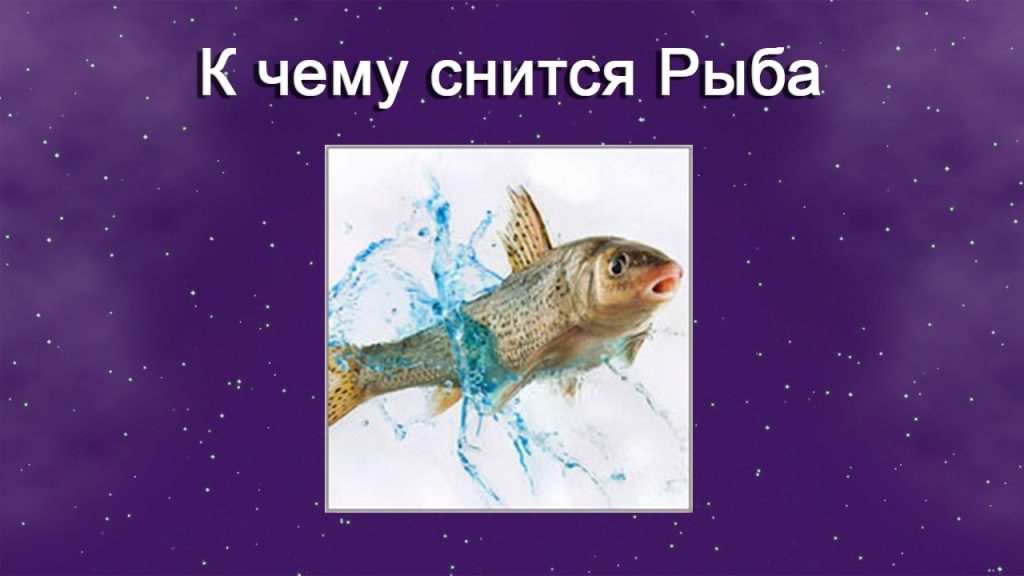 К Чему Снится Рыба: значение сна в разных культурах и психологический анализ