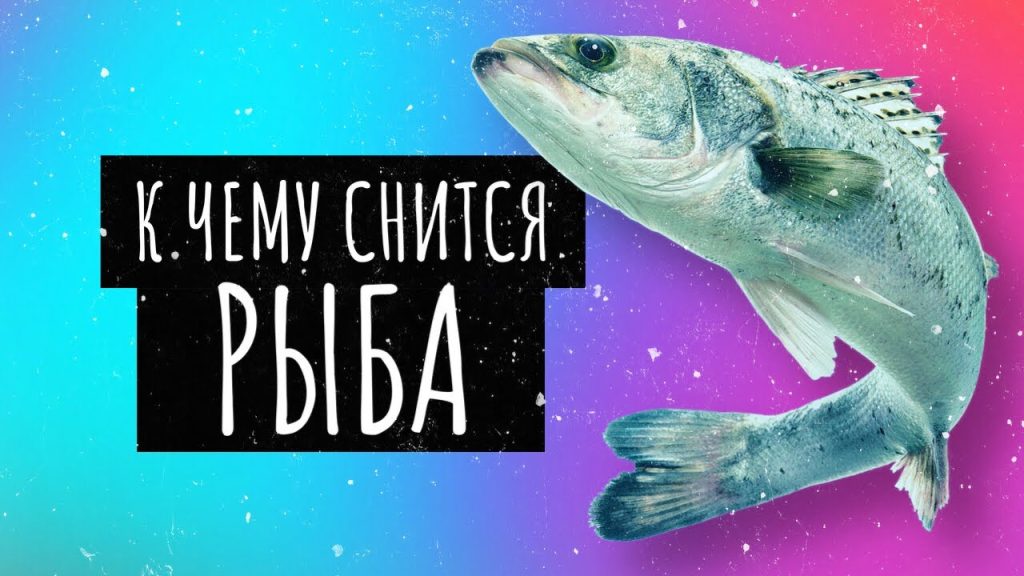 К Чему Снится Рыба: значение сна в разных культурах и психологический анализ