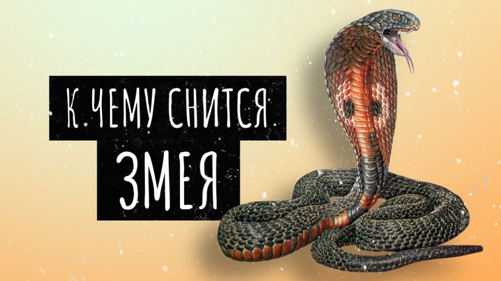 К Чему Снится Змея: Толкование и Символика в Сонниках