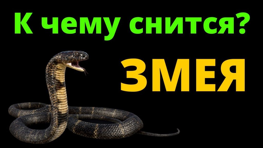 К Чему Снится Змея: Толкование и Символика в Сонниках